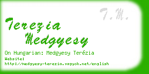 terezia medgyesy business card